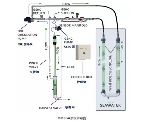 特马号码图