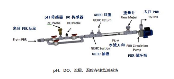 特马号码图